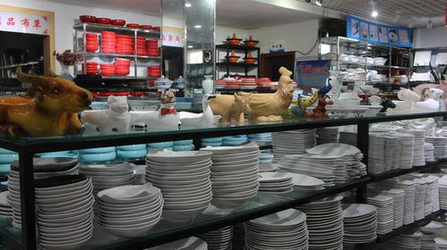 中国工程院院士 国医大师张伯礼在河南南阳添新职