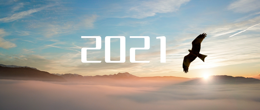 乘“峰”而上，智“盈”未来 ——2021年amjs澳金沙门环境高级资深副总裁新年开工动员